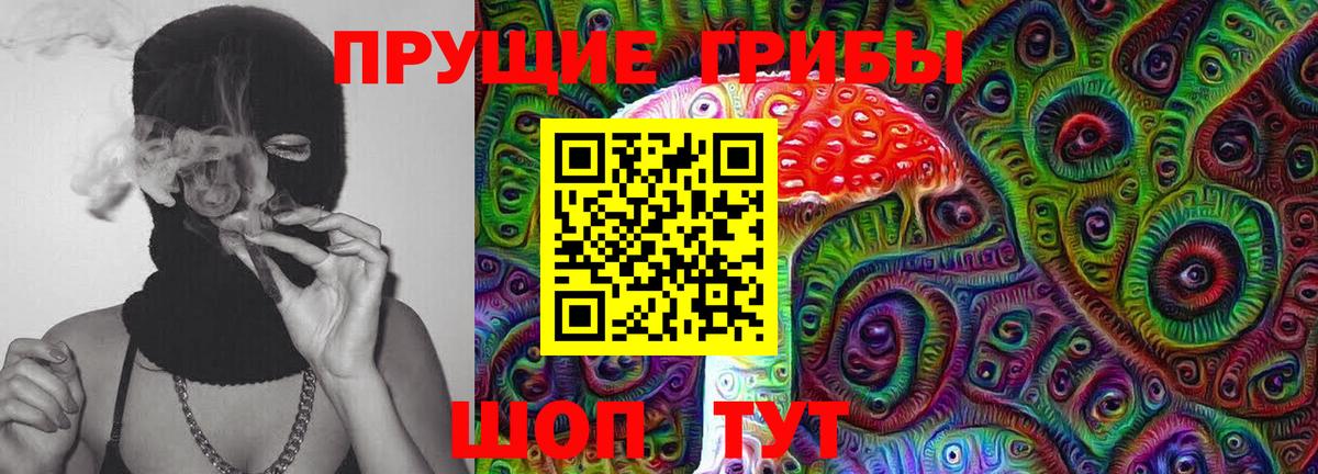 Сальск  Галлюциногенные грибы прущие грибы  Галлюциногенные грибы прущие грибы  Вход с VPN 