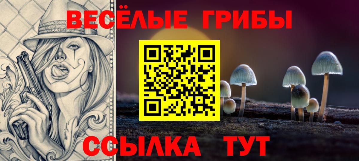 Галлюциногенные грибы Psilocybine cubensis Сальск